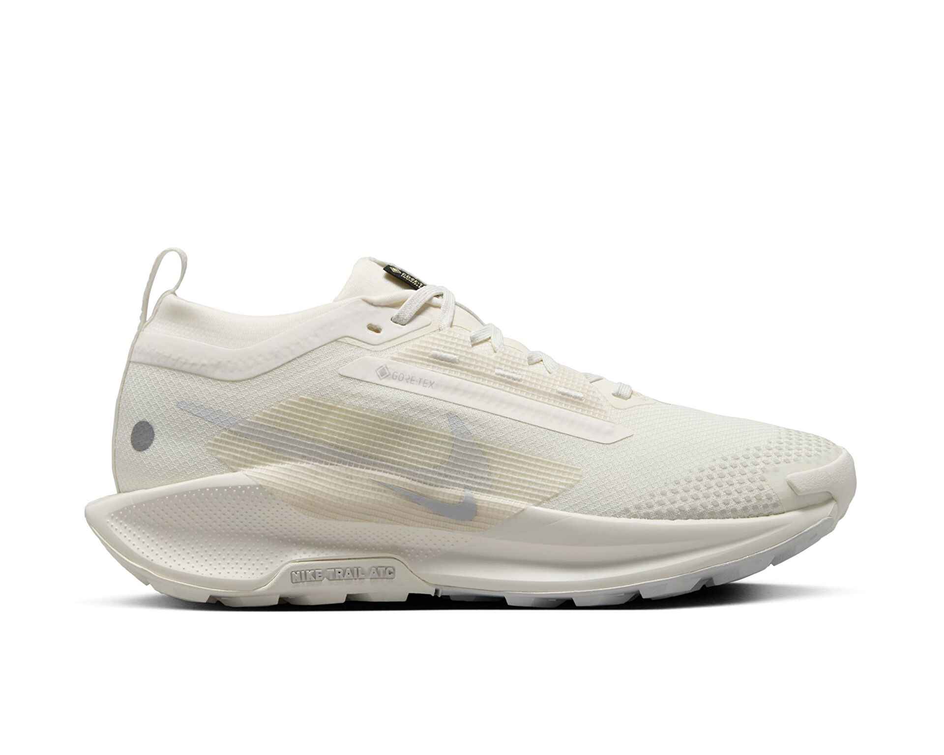 کفش های دویدن در تمام زمین Nike Pegasus Trail 5 Gore-Tex