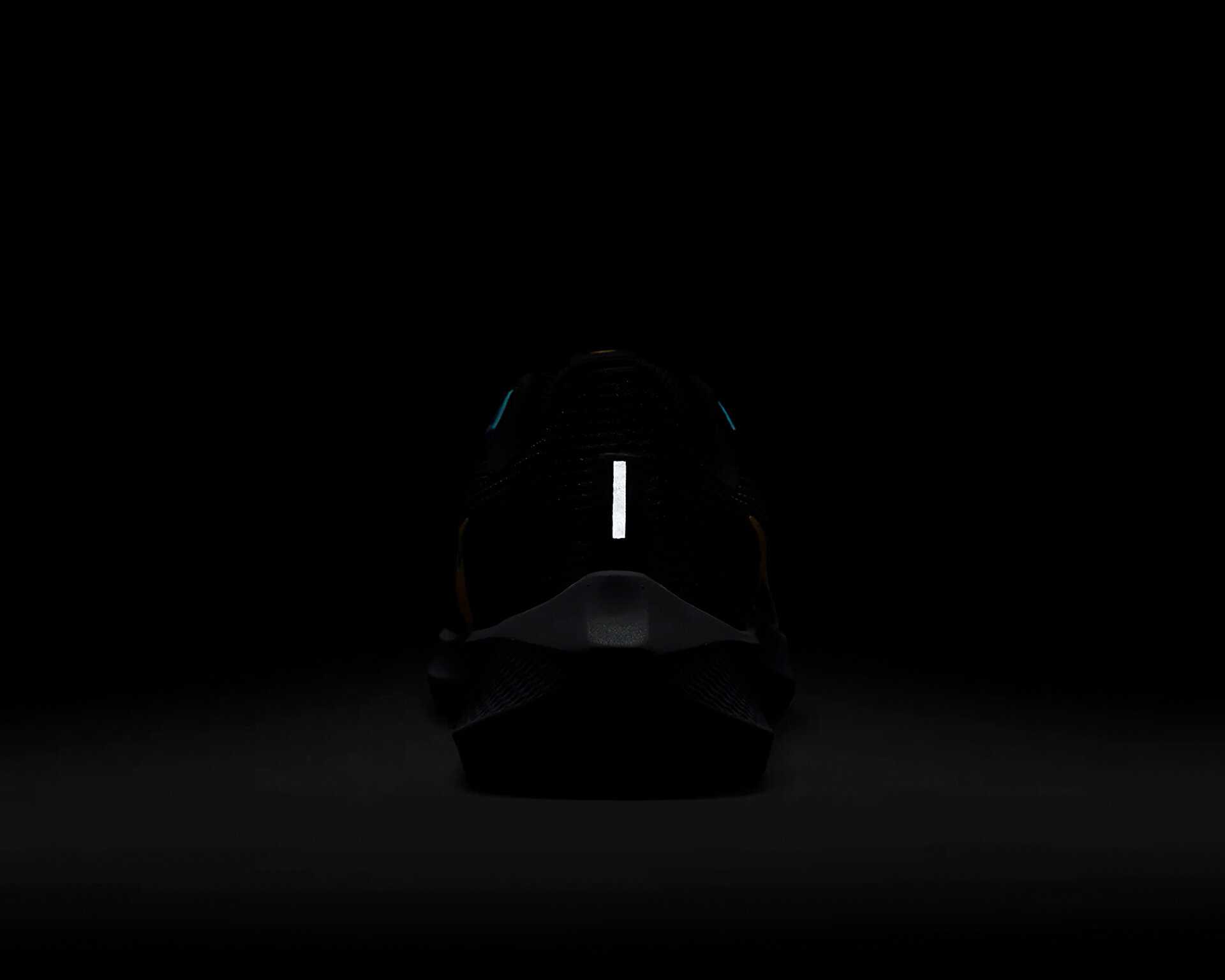 کفش دویدن Pegasus 40 Premium