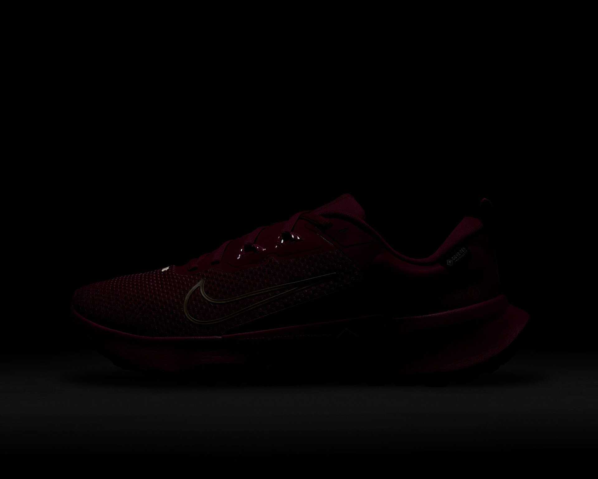 کفش های دویدن در تمام زمین Wmns Juniper Trail 2 Gtx