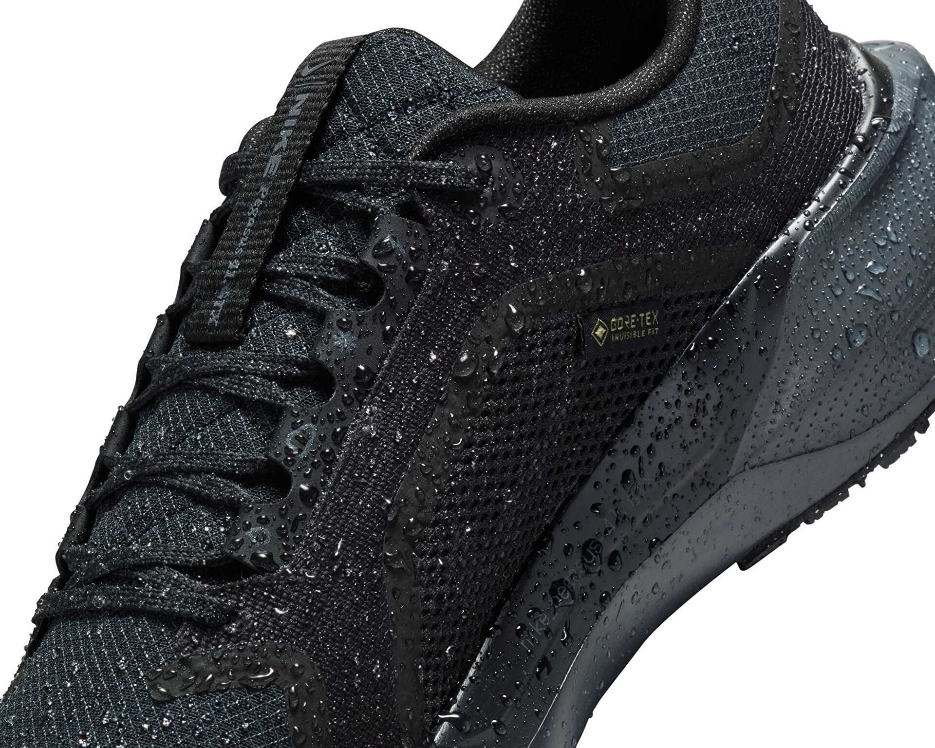 کفش دویدن Nike Pegasus 41 Gore-Tex