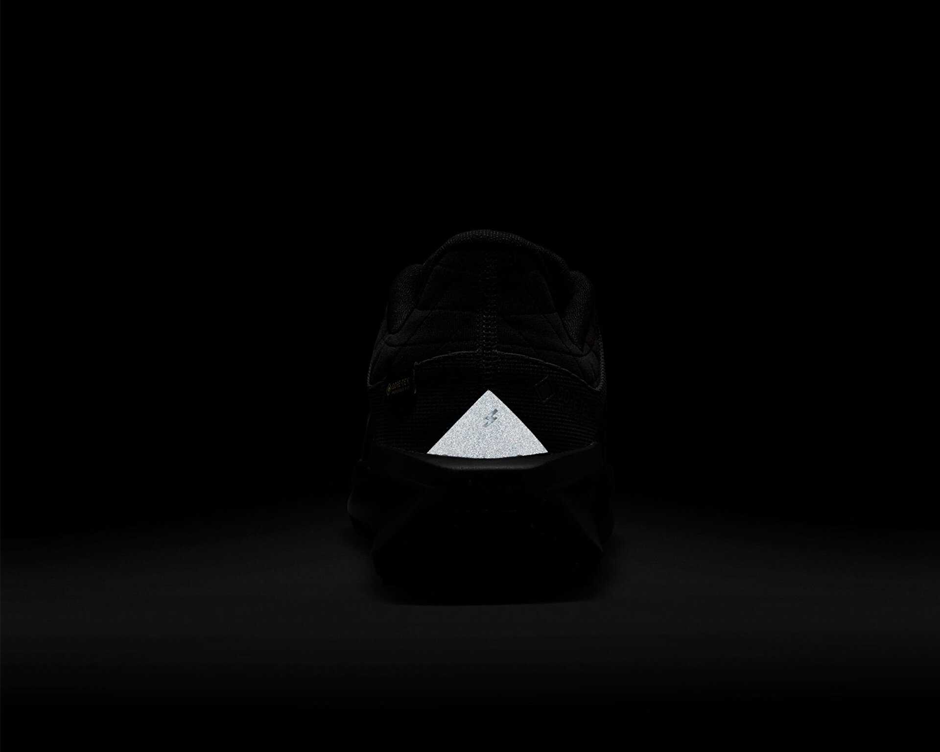 کفش دویدن Nike Winflo 11 Gore-Tex