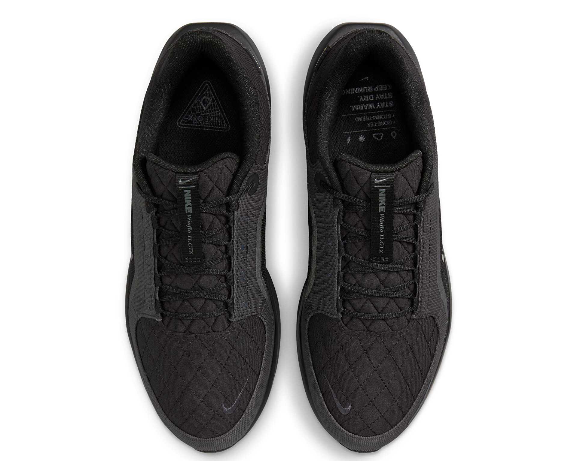 کفش دویدن Nike Winflo 11 Gore-Tex