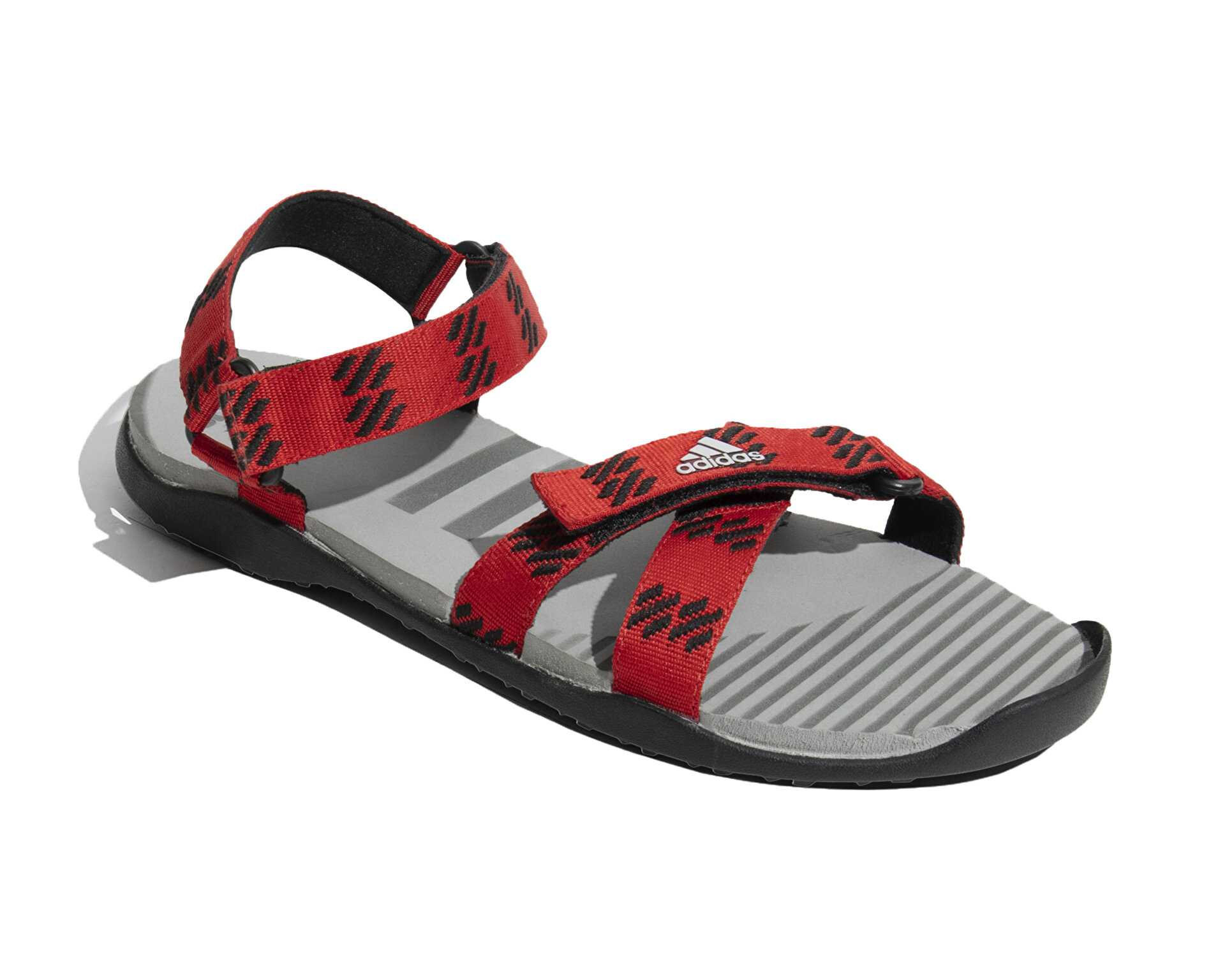 صندل معمولی Moary