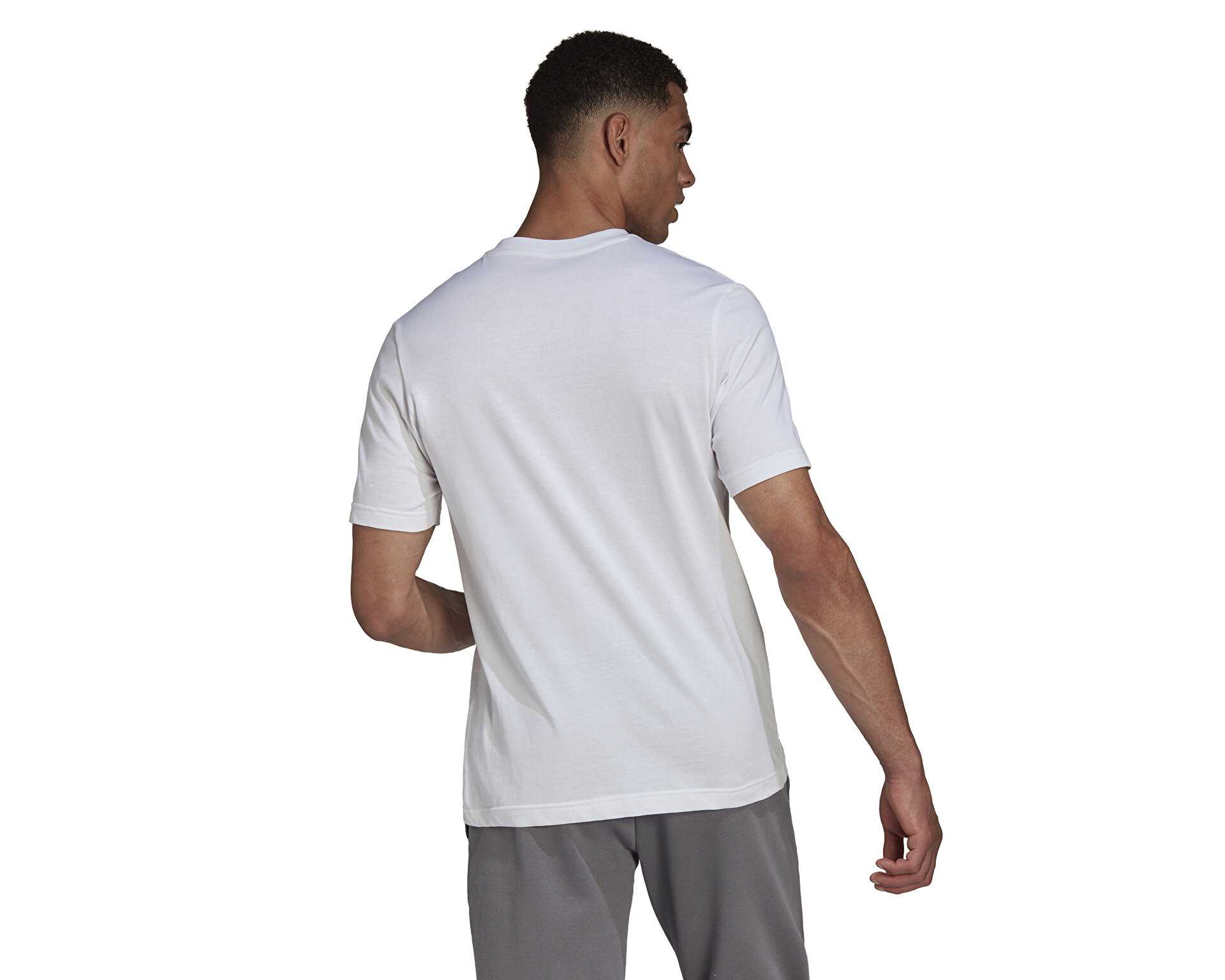 تیشرت آموزشی Ent22 Tee