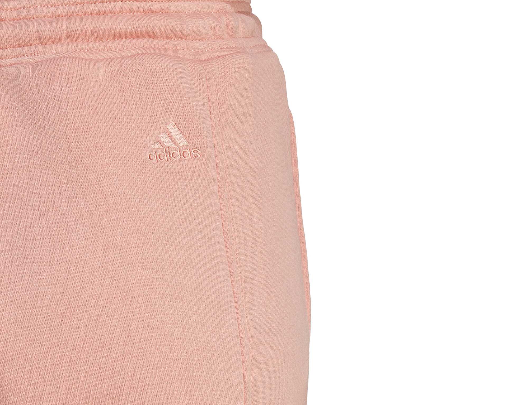 شلوار گرمکن معمولی W All Szn G Pt