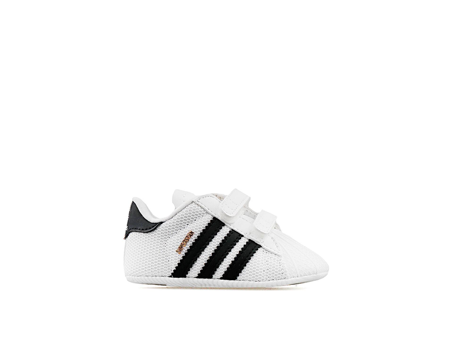 کفش های بچه گانه Superstar Crib