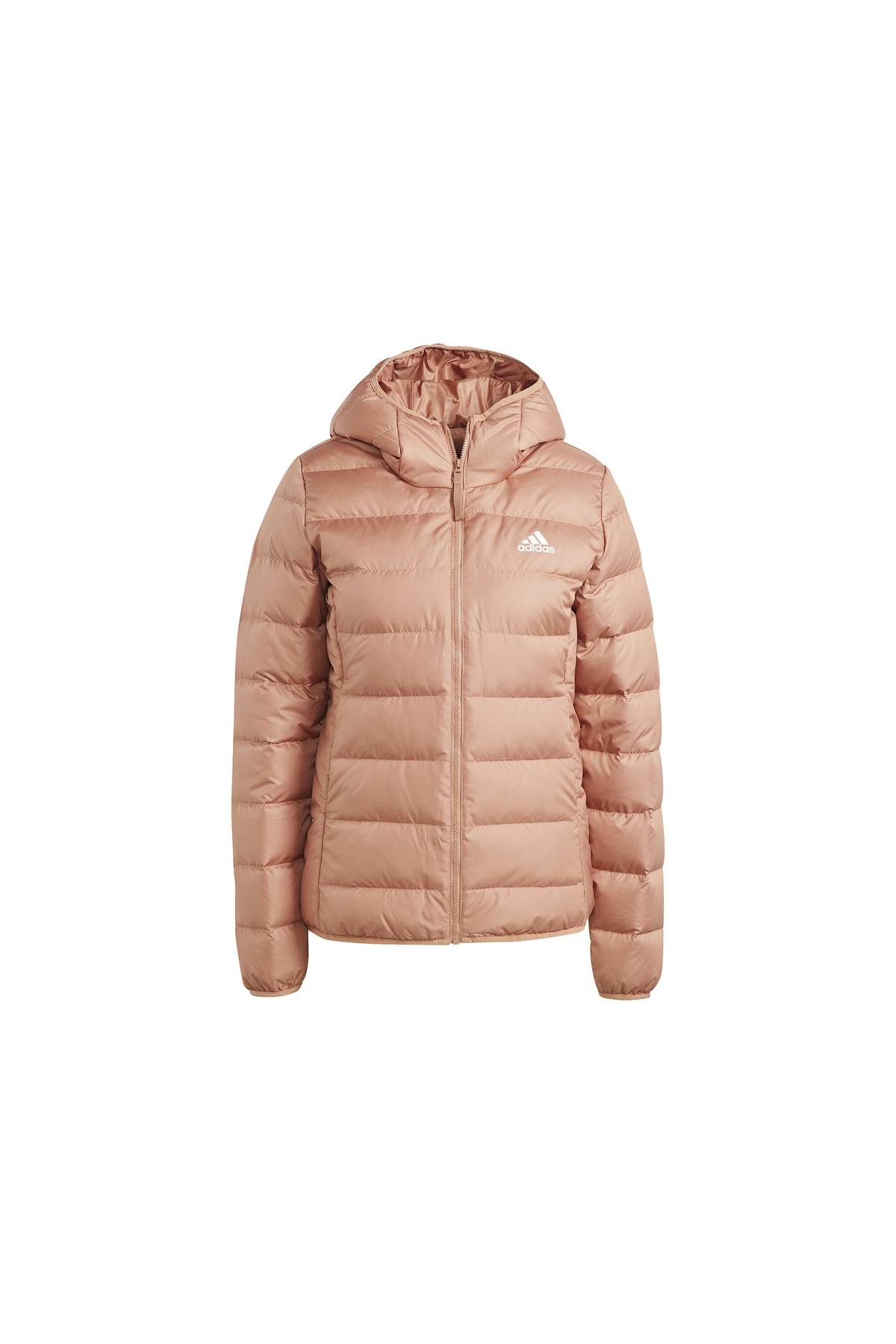 کت کوتاه وگان زنانه Jkt روزانه وگان IJ8235 Claret Red