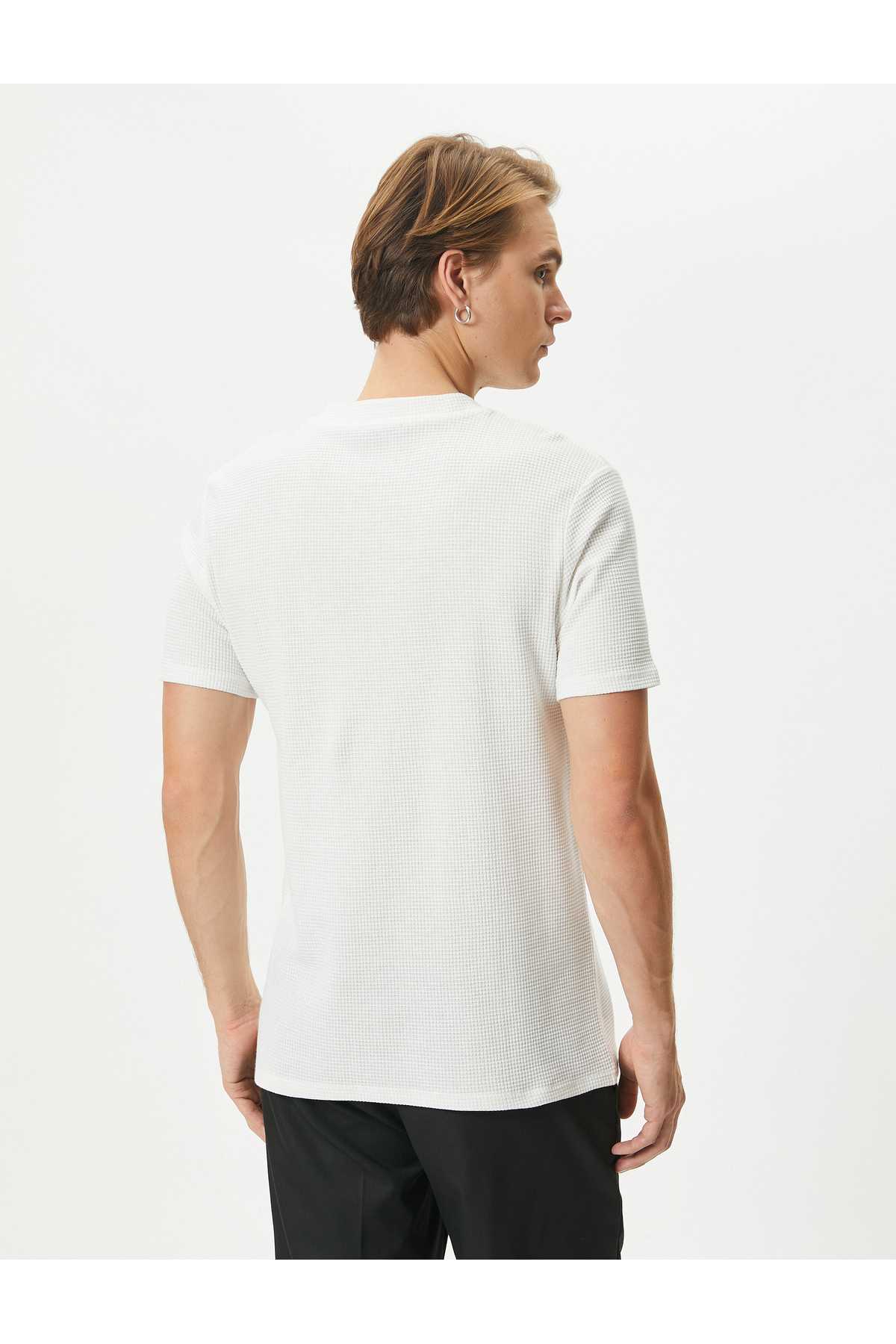 تیشرت پایه یقه گرد-آستین کوتاه نخی بافت دار