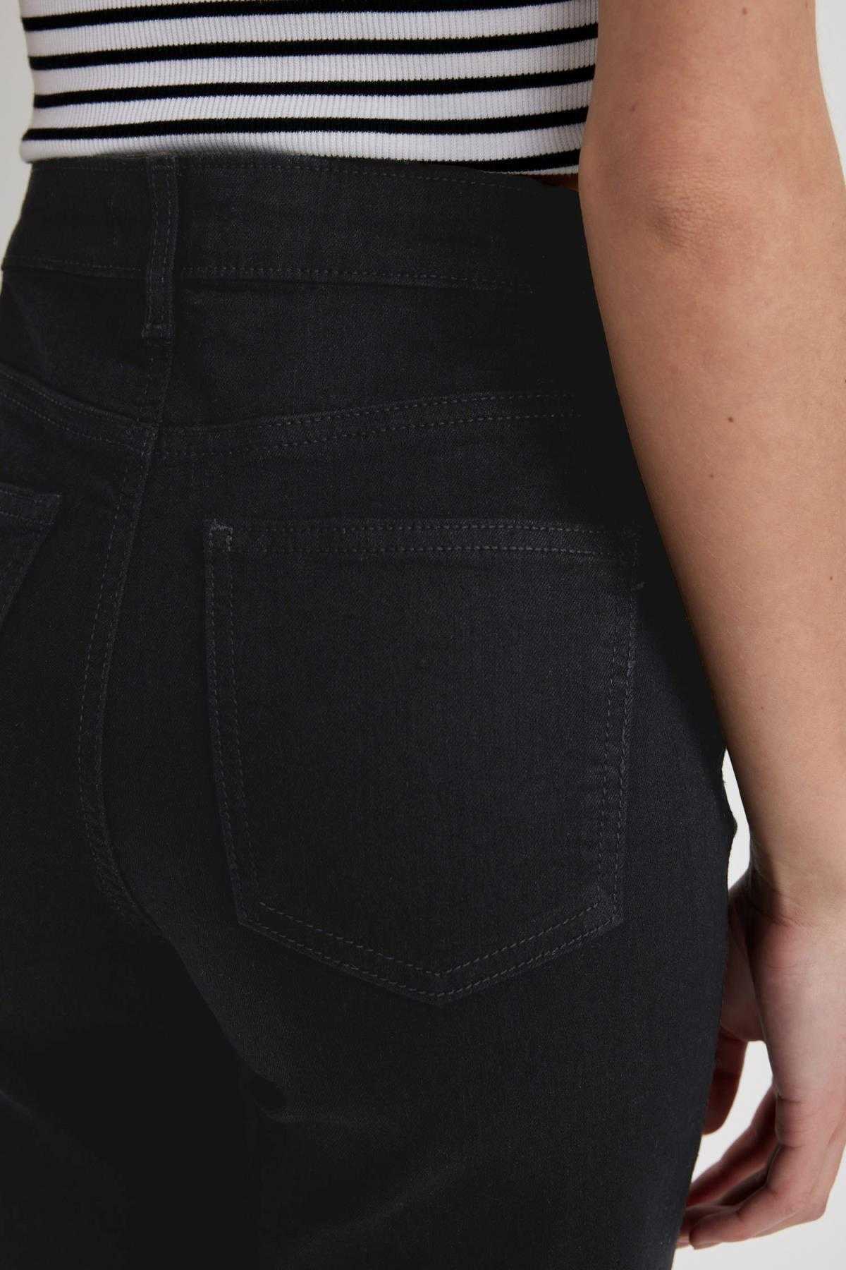 ساق کمر معمولی ژان برمودا