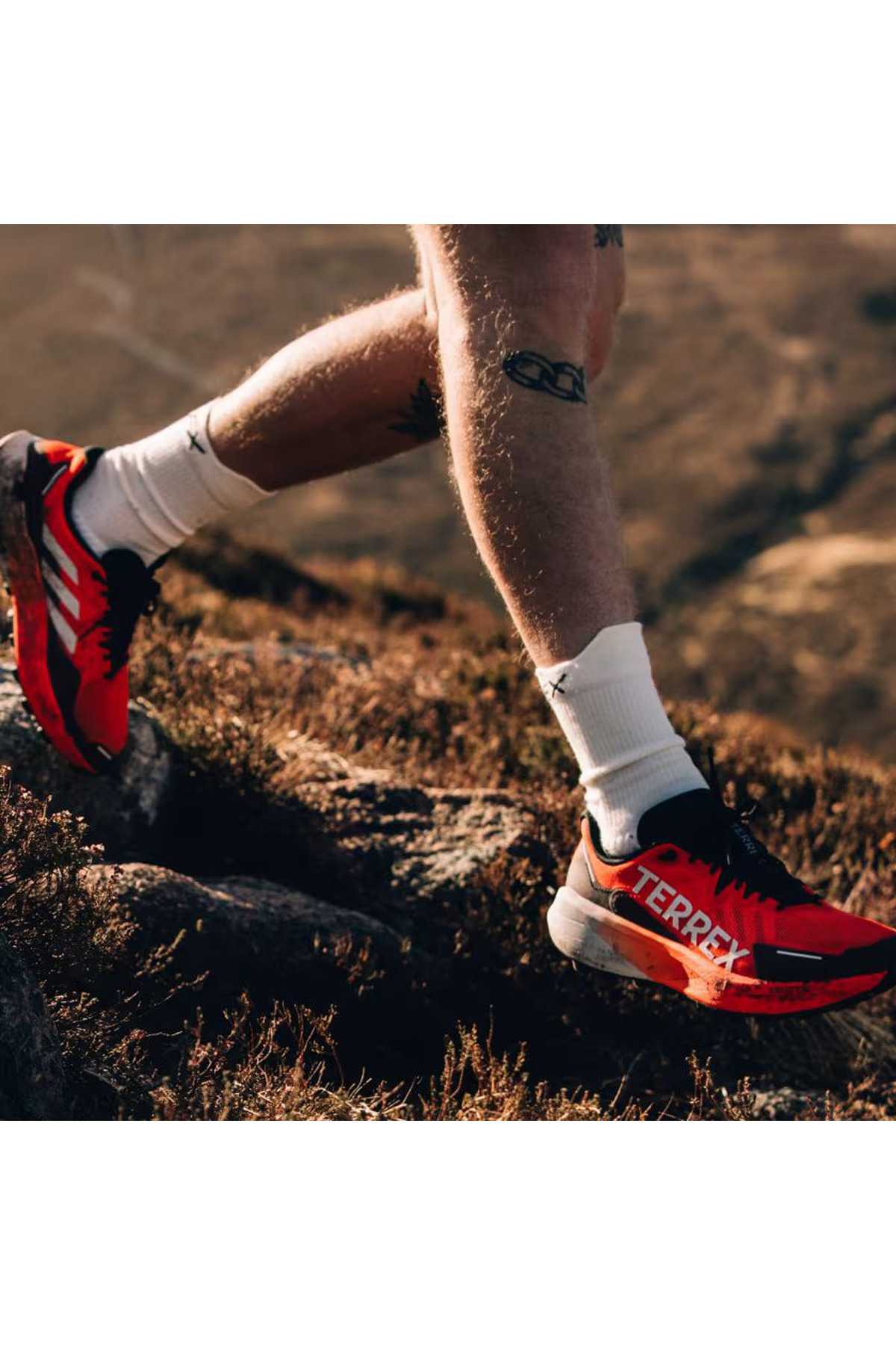 Terrex Agravic 3 Men's Path Running Shoes