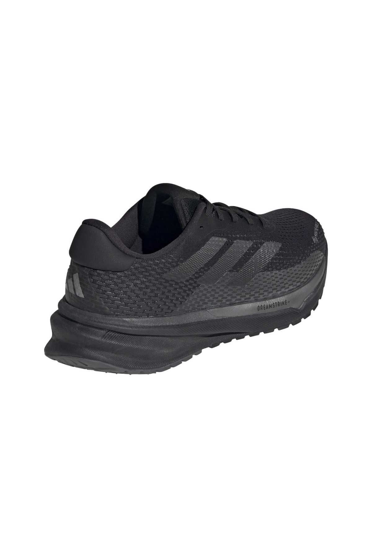 کفش های در حال اجرا Supernova Gore-Tex