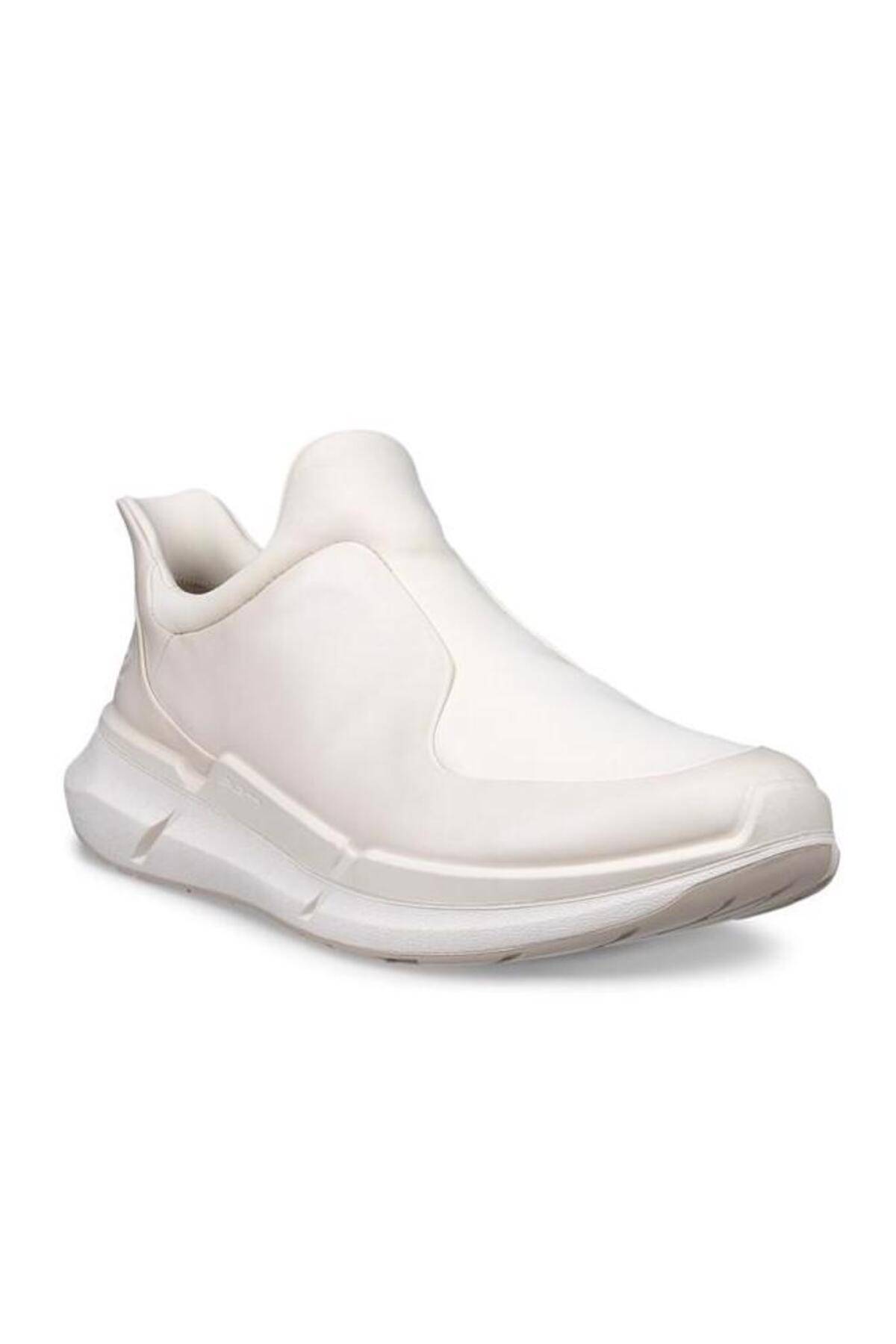 بیوم 2.2 W سنگ آهک