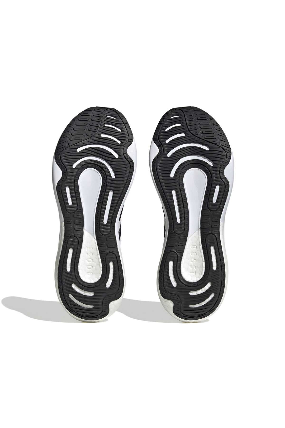 کفش های در حال اجرا Supernova Gore-Tex