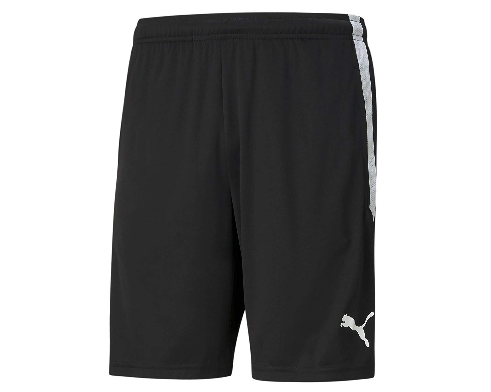 football-match-shorts-teamliga-training-shorts